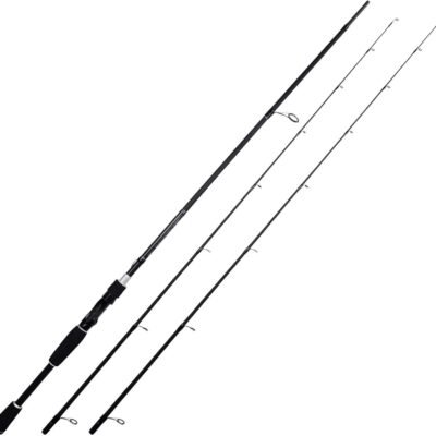 KastKing Perigee II Fishing Rods Twin-tip Rod 2 Pcs Extra Tip